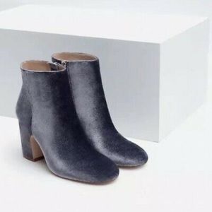 Velvet grey booties